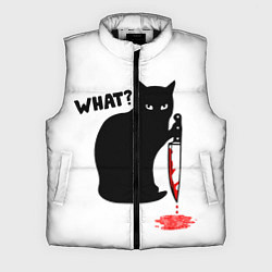 Мужской жилет What Cat, цвет: 3D-черный