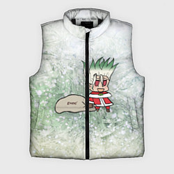 Мужской жилет Доктор Стоун новогодний