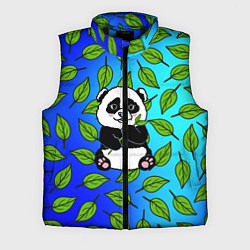 Мужской жилет Панда