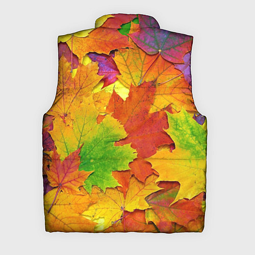Мужской жилет Осенние листья / 3D-Черный – фото 2