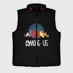 Мужской жилет AMONG US