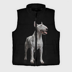 Мужской жилет Bully, цвет: 3D-черный
