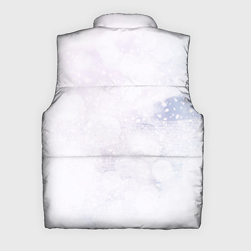 Мужской жилет Эмилия / 3D-Черный – фото 2