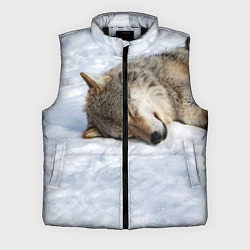 Мужской жилет Спящий Волк