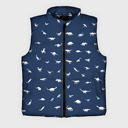 Мужской жилет Dinoworld 2, цвет: 3D-черный