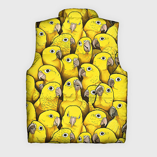 Мужской жилет Попугаи / 3D-Черный – фото 2