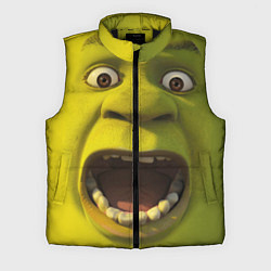 Мужской жилет Shrek is Yelling, цвет: 3D-черный