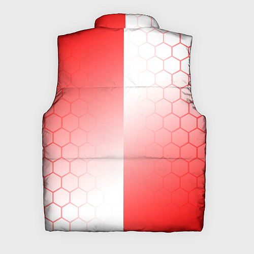 Мужской жилет FC AJAX AMSTERDAM ФК АЯКС / 3D-Светло-серый – фото 2