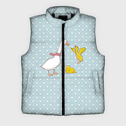 Мужской жилет Утка и утята, цвет: 3D-черный