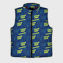 Мужской жилет CHAMPION