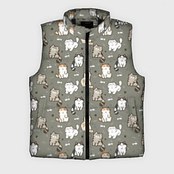 Мужской жилет Кошечки с рыбками, цвет: 3D-черный