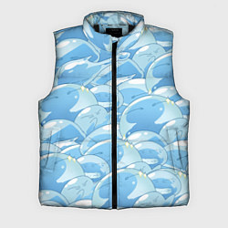 Мужской жилет О МОЕМ ПЕРЕРОЖДЕНИЕ В СЛИЗЬ