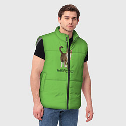 Мужской жилет НАПЁРДЫШ, цвет: 3D-светло-серый — фото 2