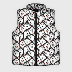 Мужской жилет Сибирский Хаски Husky