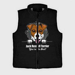 Мужской жилет Джек-Рассел-Терьер Jack Russell Terrier, цвет: 3D-светло-серый