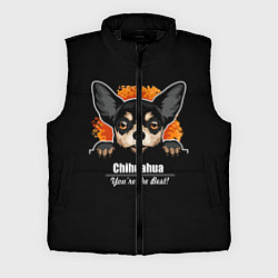 Мужской жилет Чихуахуа Chihuahua, цвет: 3D-черный