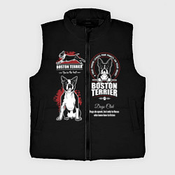 Мужской жилет Бостон-Терьер Boston Terrier, цвет: 3D-черный