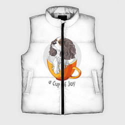 Мужской жилет Кавалер Кинг Чарльз Спаниель, цвет: 3D-светло-серый