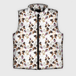 Мужской жилет Джек Рассел Терьер