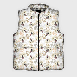 Мужской жилет Лабрадор Золотистый Ретривер