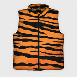Мужской жилет Шкура тигра вектор