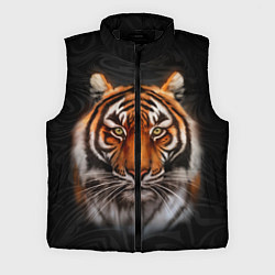 Мужской жилет Реалистичный тигр Realistic Tiger, цвет: 3D-черный