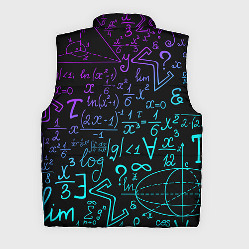 Мужской жилет НЕОНОВЫЕ ФОРМУЛЫ NEON FORMULAS / 3D-Черный – фото 2