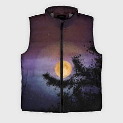 Мужской жилет Night sky with full moon by Apkx