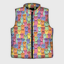 Мужской жилет Красочные Сурикаты