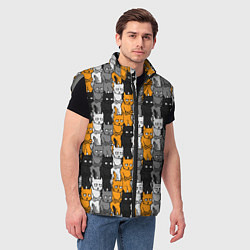 Мужской жилет Злой Кот мем, цвет: 3D-светло-серый — фото 2