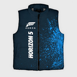 Мужской жилет ФОРЗА ХОРАЗЙЕН 5 Краски По вертикали