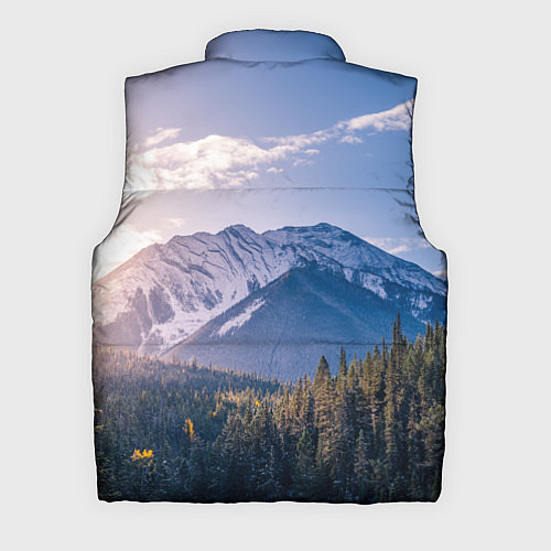 Мужской жилет Горы Лес Солнце / 3D-Светло-серый – фото 2