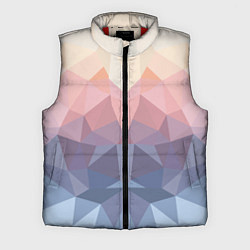 Мужской жилет Полигональная свежесть 2022