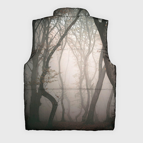 Мужской жилет Лес Туман / 3D-Светло-серый – фото 2