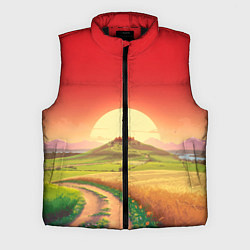 Мужской жилет Дорога к солнцу, цвет: 3D-черный