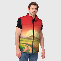 Мужской жилет Дорога к солнцу, цвет: 3D-черный — фото 2