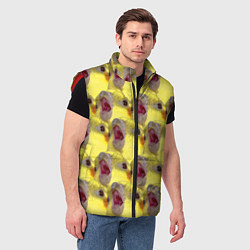 Мужской жилет Попугай Корелла Орёт Мем, цвет: 3D-красный — фото 2