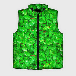 Мужской жилет Зелёные листья - текстура