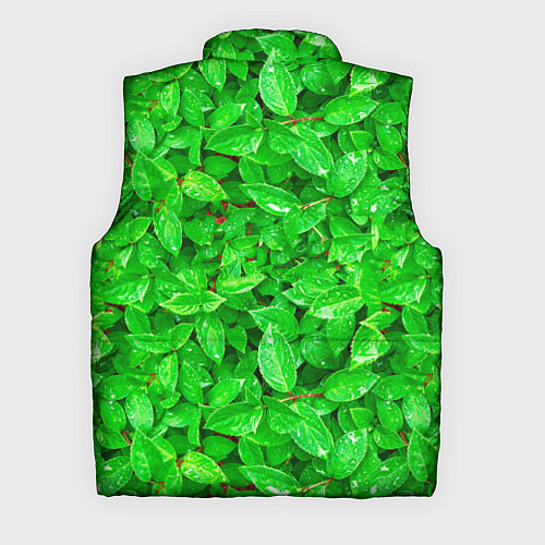 Мужской жилет Зелёные листья - текстура / 3D-Черный – фото 2