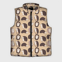 Мужской жилет Charming hedgehogs