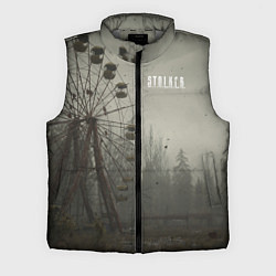 Мужской жилет STALKER Колесо Обозрения, цвет: 3D-светло-серый