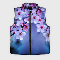Мужской жилет Цветы дерева Черри Блоссом