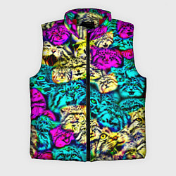 Мужской жилет Психоделические манулы, цвет: 3D-красный