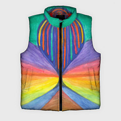 Мужской жилет Абстракция воздушный шар