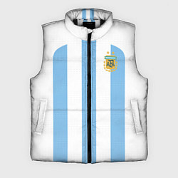 Мужской жилет Сборная Аргентины ЧМ 2022, цвет: 3D-черный
