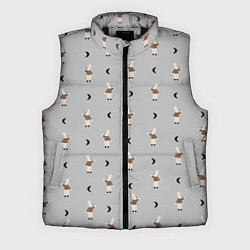 Мужской жилет Зайка и луна - паттерн серый, цвет: 3D-черный