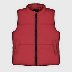Мужской жилет Красный тренд 2023, цвет: 3D-красный