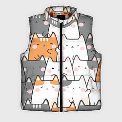 Мужской жилет Семья котиков, цвет: 3D-красный