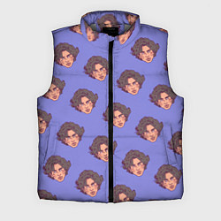 Мужской жилет Тимоти Шаламе узор, цвет: 3D-светло-серый