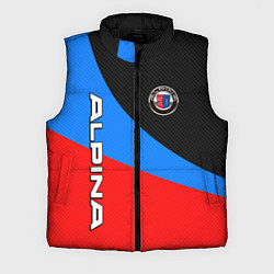 Мужской жилет Alpina - classic colors